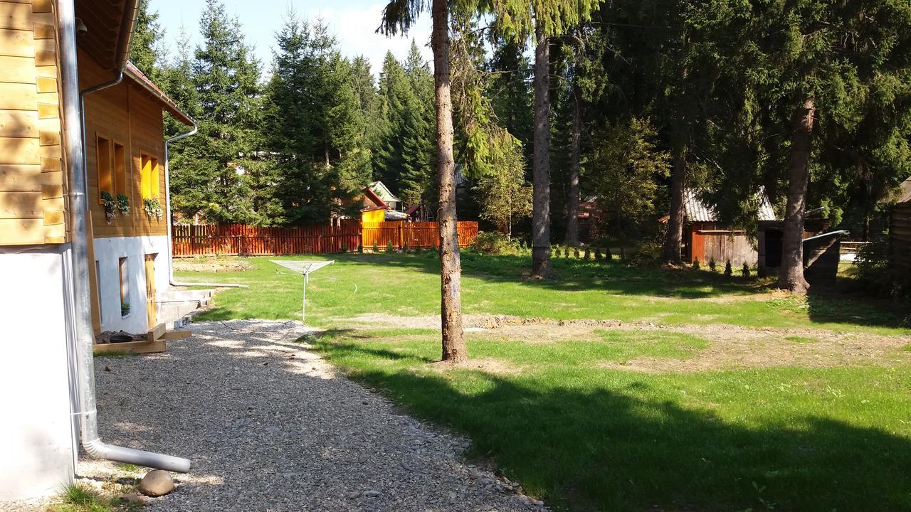 Mofetta Panzio Bed & Breakfast Sintimbru-Bai Exterior photo