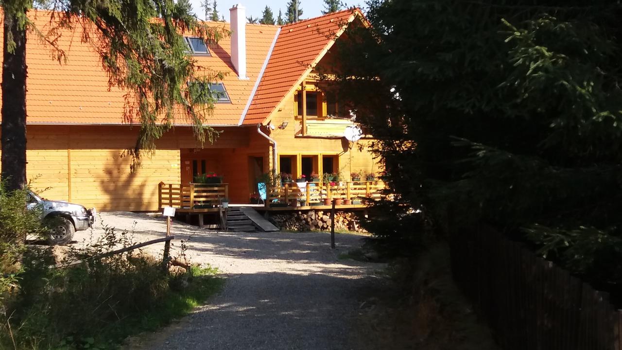 Mofetta Panzio Bed & Breakfast Sintimbru-Bai Exterior photo