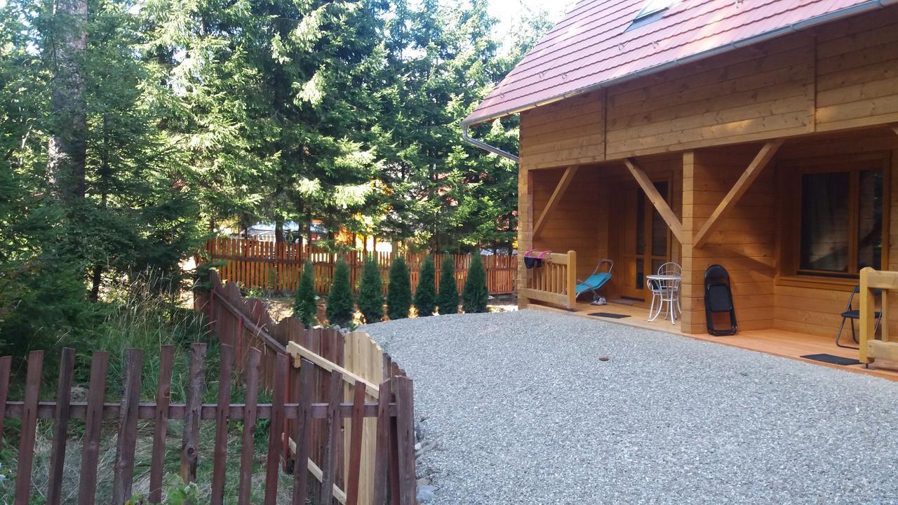 Mofetta Panzio Bed & Breakfast Sintimbru-Bai Exterior photo